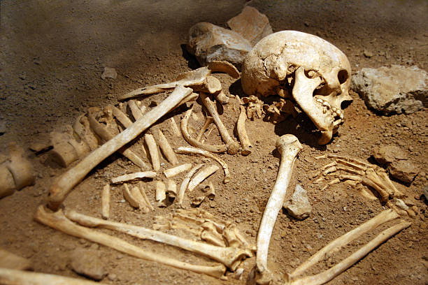 skeletal remains near UC Berkeley