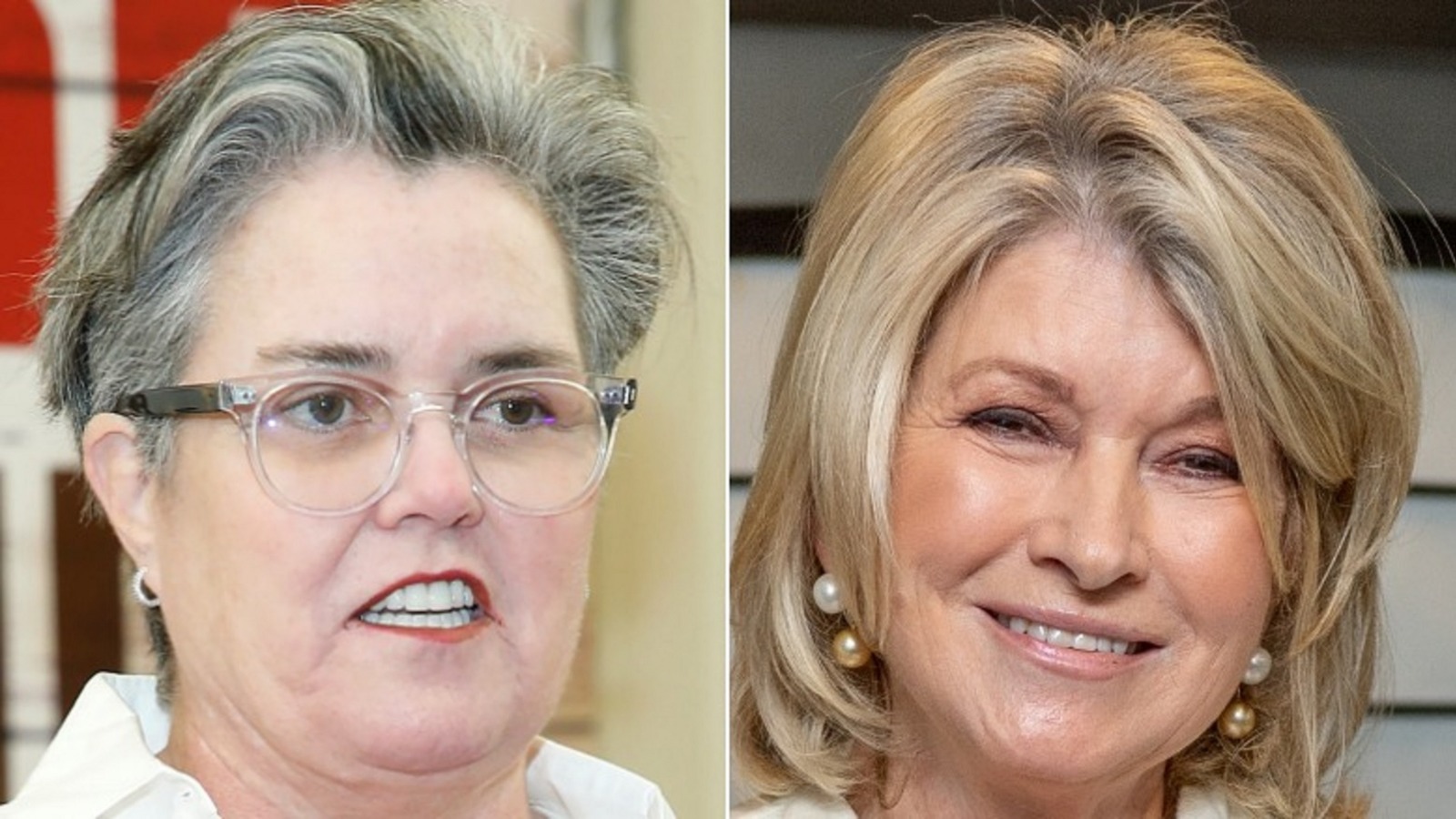 Why Rosie O'Donnell Once Visited Martha Stewart In Prison