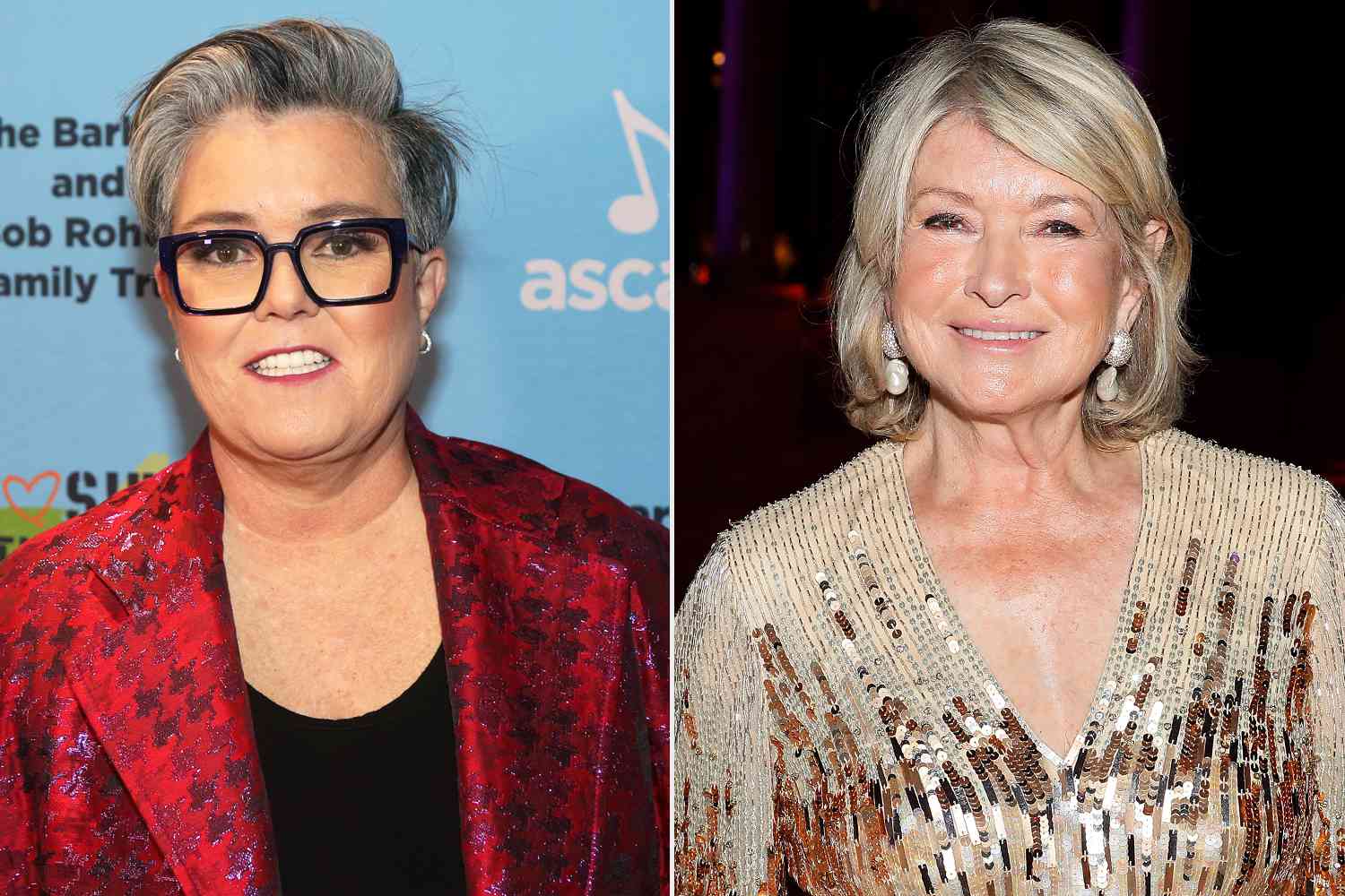 Why Rosie O'Donnell Once Visited Martha Stewart In Prison