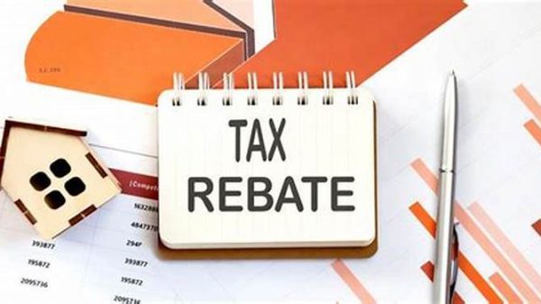 Up to $1,350 Montana Property Tax Rebates Available for Eligible Residents: Check If You Qualify! (Photo: CDA Audit)